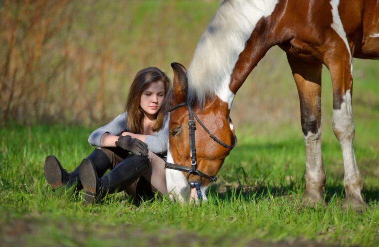 paardencoaching
