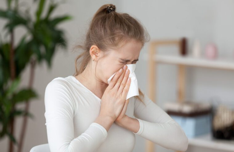 allergie