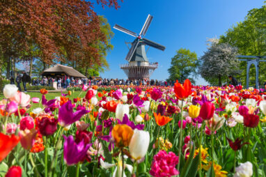 Nederland