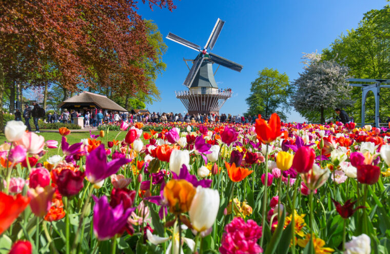 Nederland