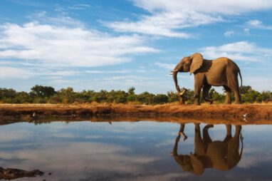 afrika