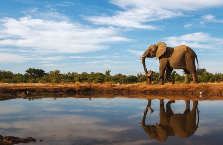 afrika