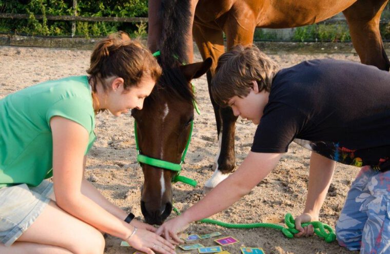 paardencoaching