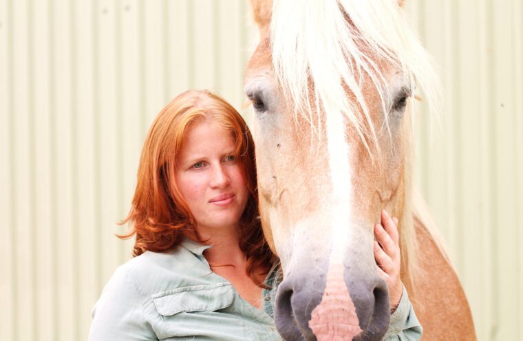 paardencoaching