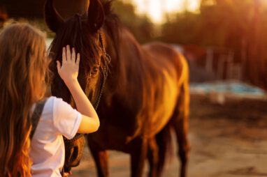 paardencoaching