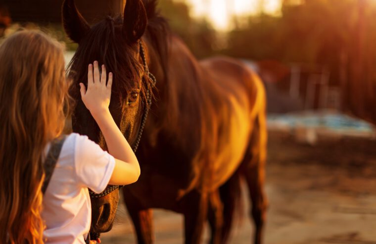 paardencoaching