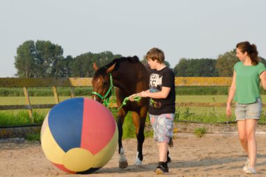 somberheid