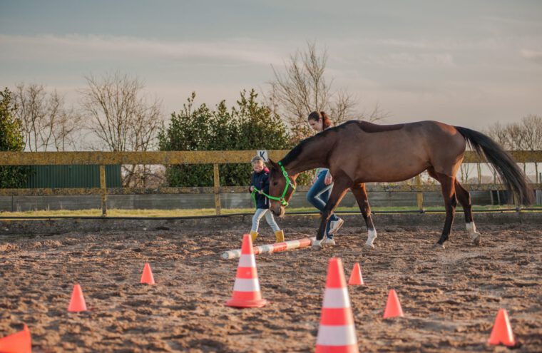 paardencoach
